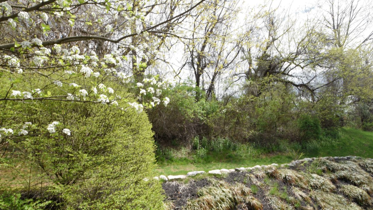 608 Driftwood Ln, Downingtown, PA, 19335 Scene 4