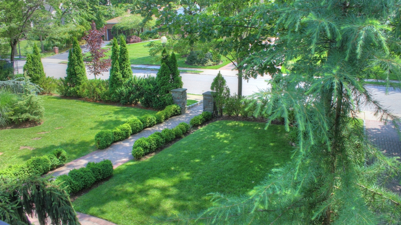 Balcony view