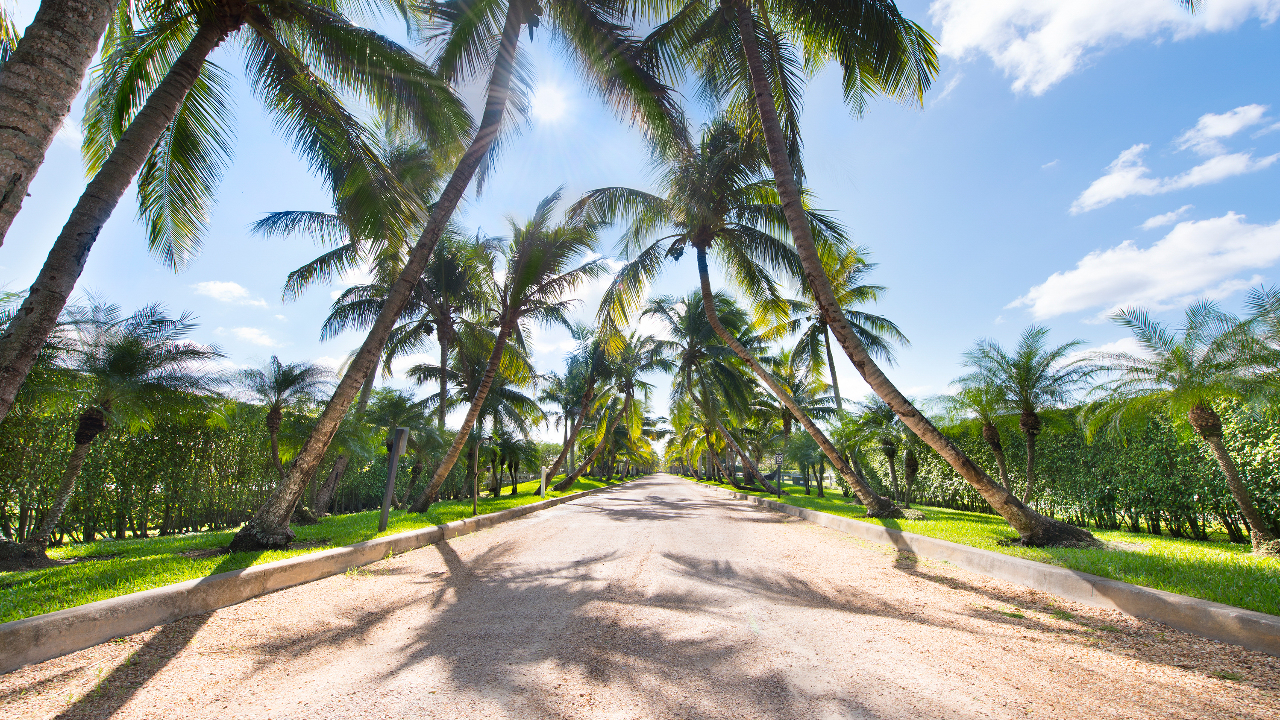 5121-Las-Palmas-Ave-02