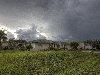 IMG___ - 17520 BUTLER RD