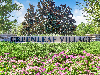 Greenleaf Village - 300 Woodland Greens Drive