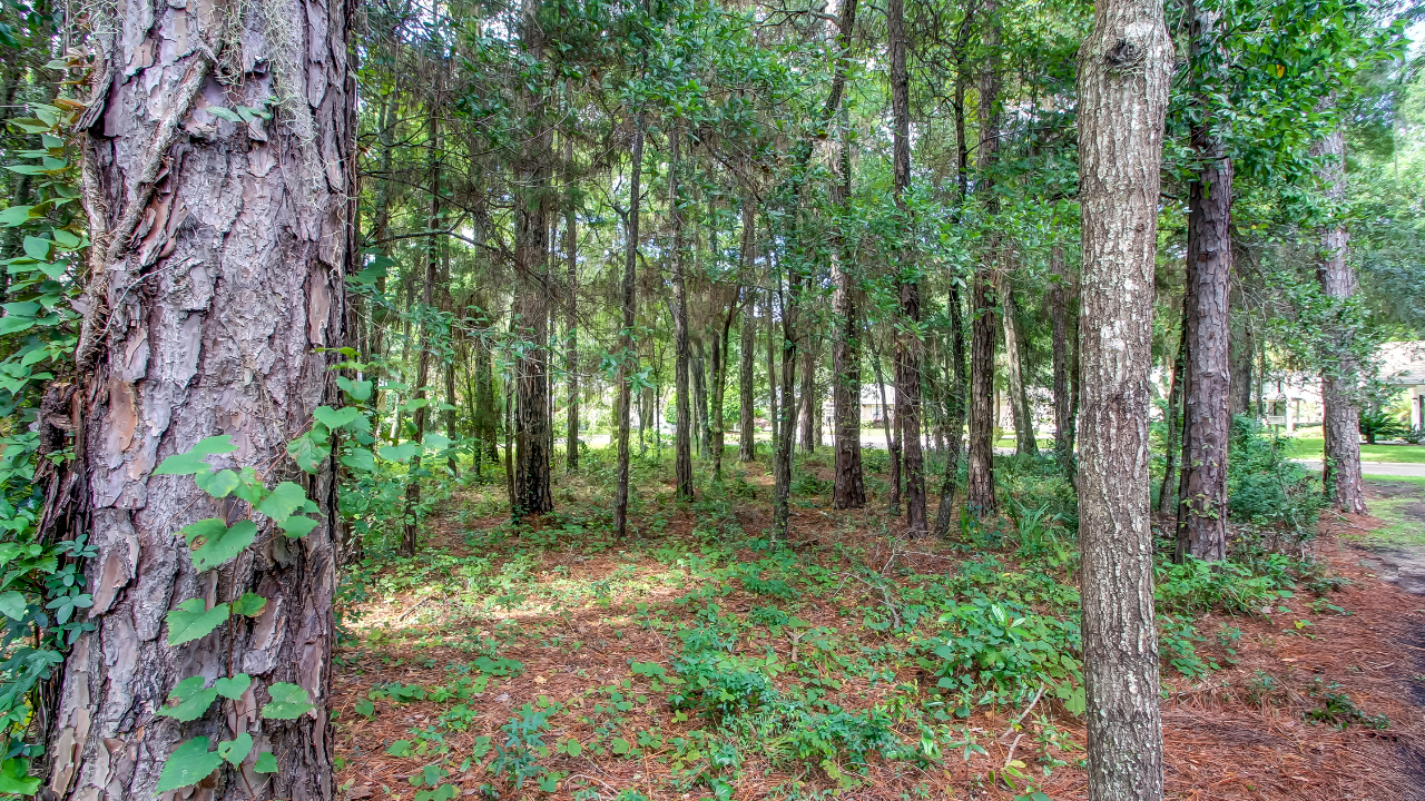 95310 Mackinas Circle Property