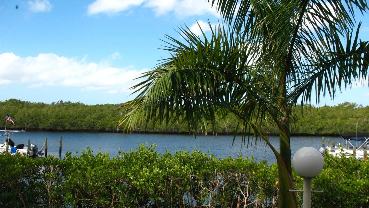 Water View from Master