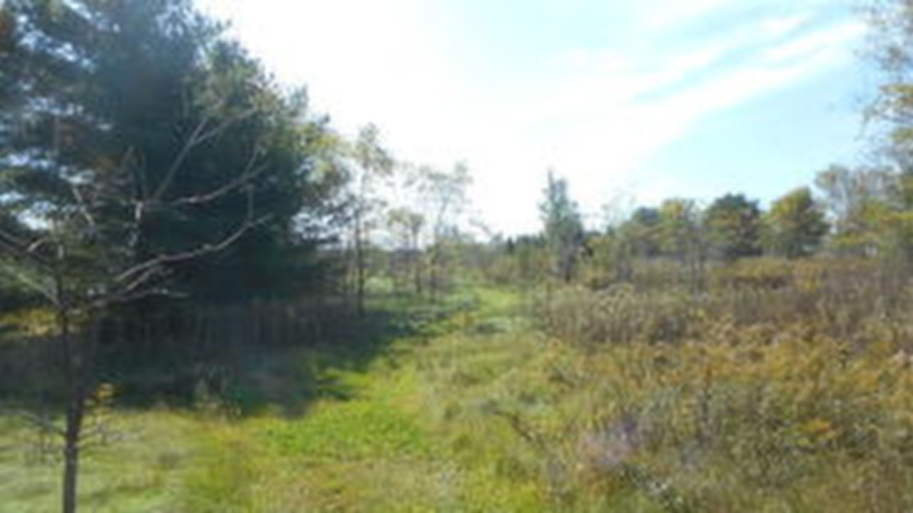 Lot 2 East River Bay Rd, Waterford, WI, 53185 Scene 3