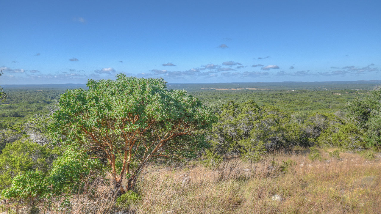 Stoneledge Pass, Blanco, TX, 78606 Scene 4