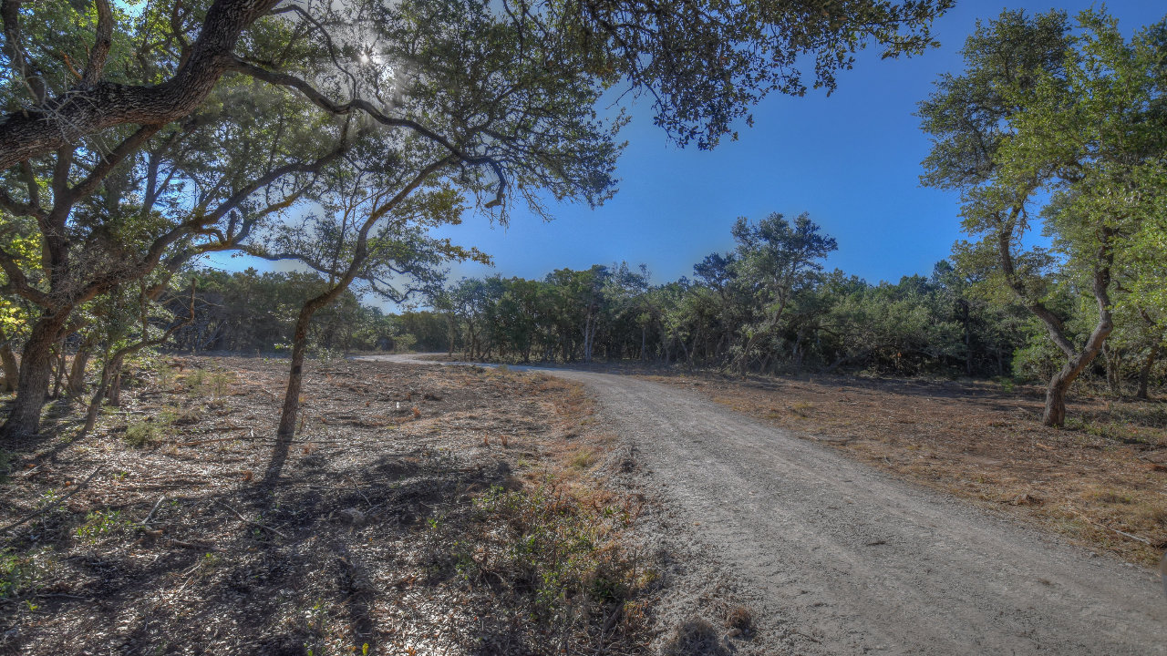 Stoneledge Pass, Blanco, TX, 78606 Scene 2