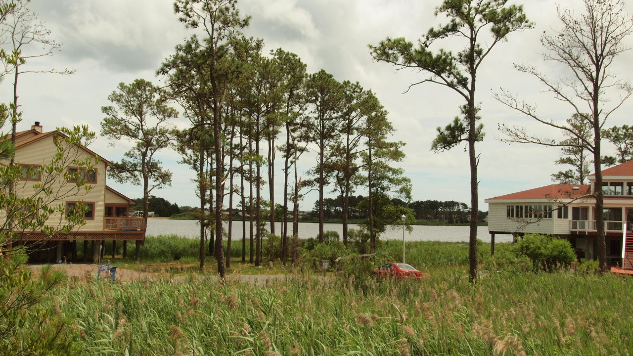 Salt Pond Views