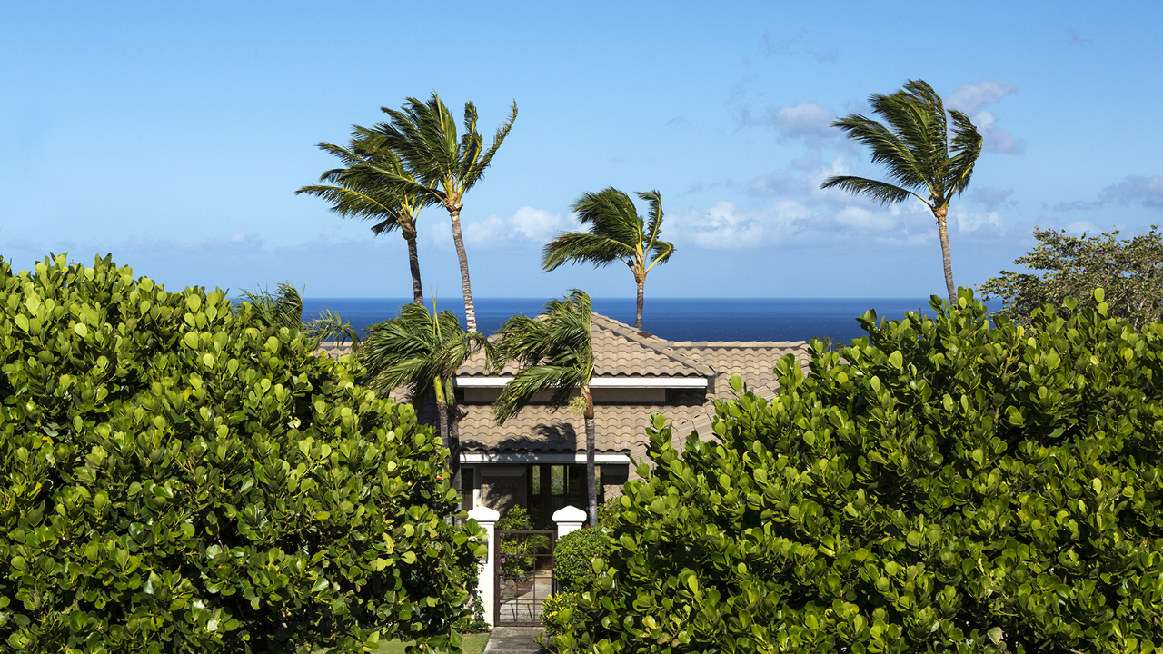 Beautiful Ocean View