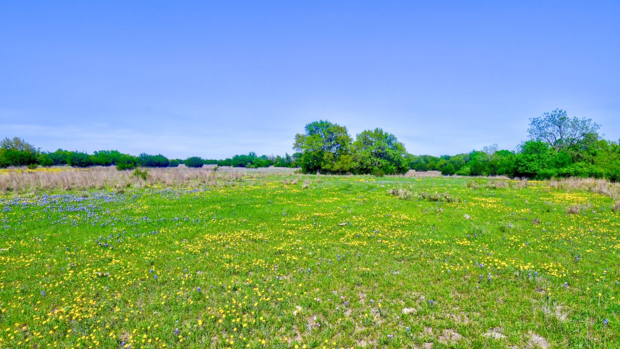 Wildflower Alley Ranch, Watson, TX, 76550 Scene 1