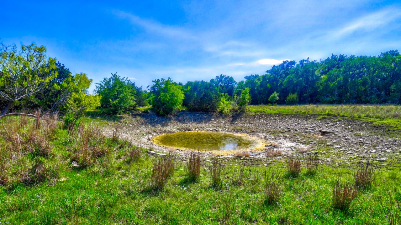 Wildflower Alley Ranch, Watson, TX, 76550 Scene 2