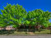 313 Blanco Cir. Ext 14