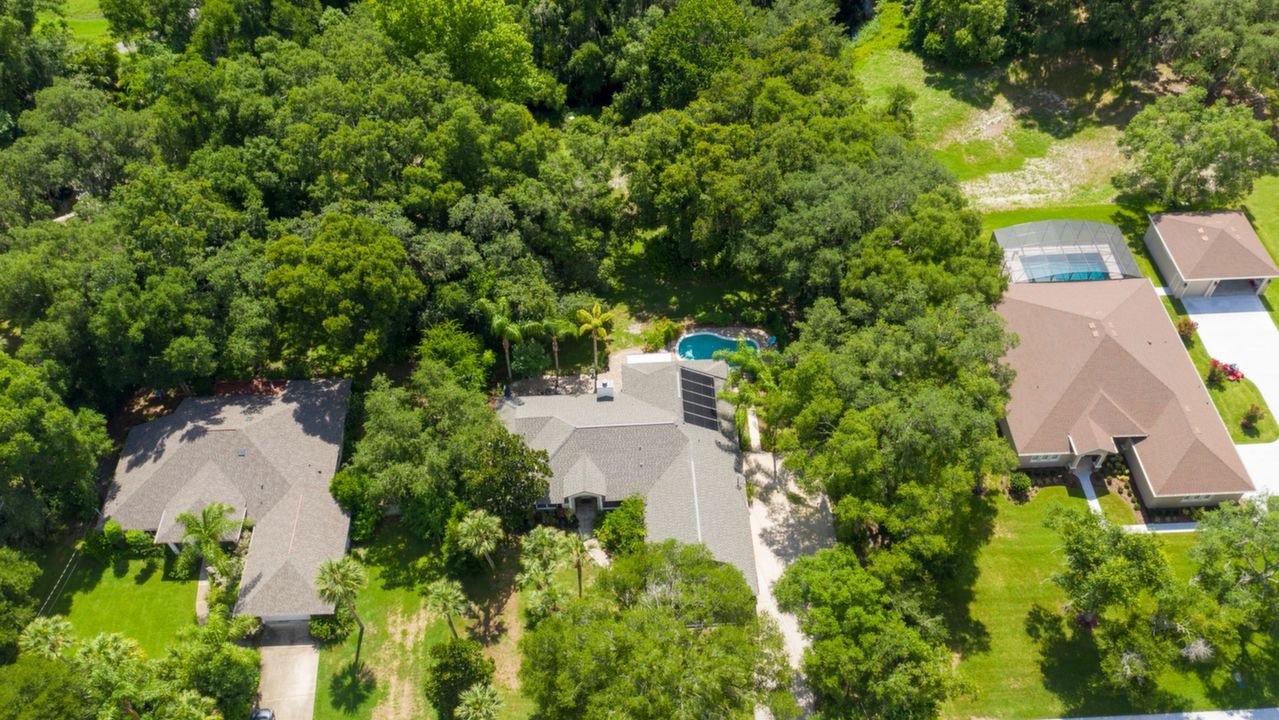 5822 Boggsford Road, PORT ORANGE, FL, 32127 Scene 4