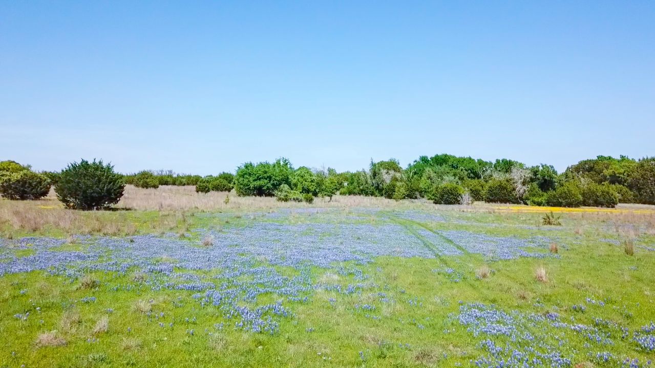 CR 225, Briggs, TX, 78608 Scene 3