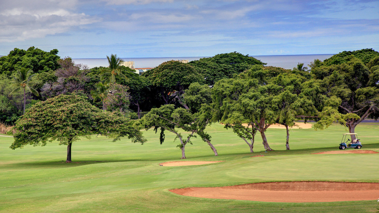 Ocean and Golf Course View