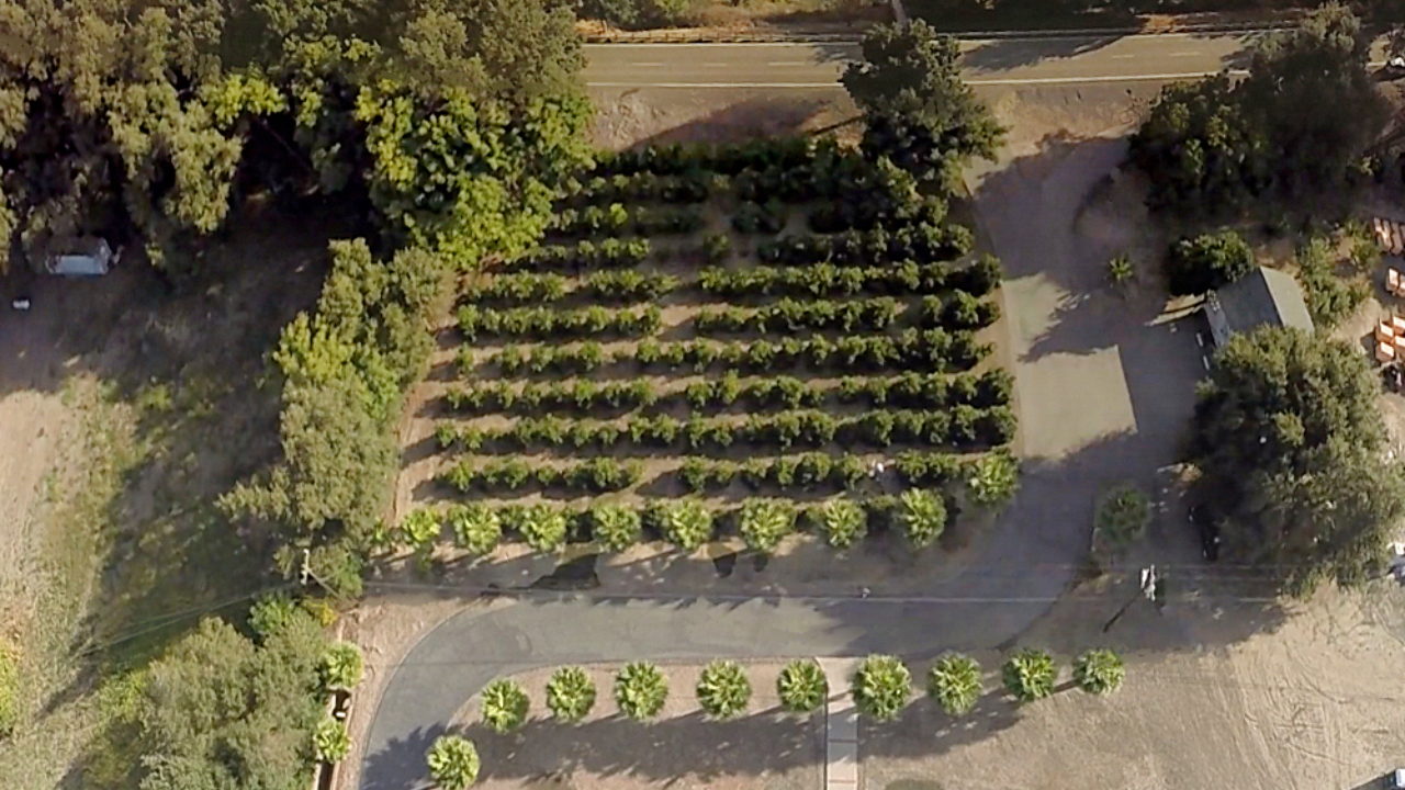 57346 S River Rd, Clarksburg, CA, 95612 Scene 2