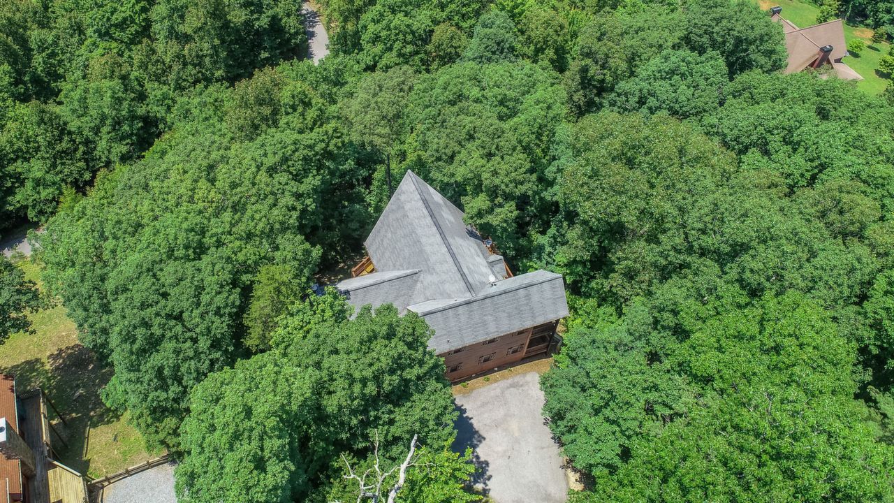 207 Mountain High Trail, Mineral Bluff, GA, 30559 Scene 3