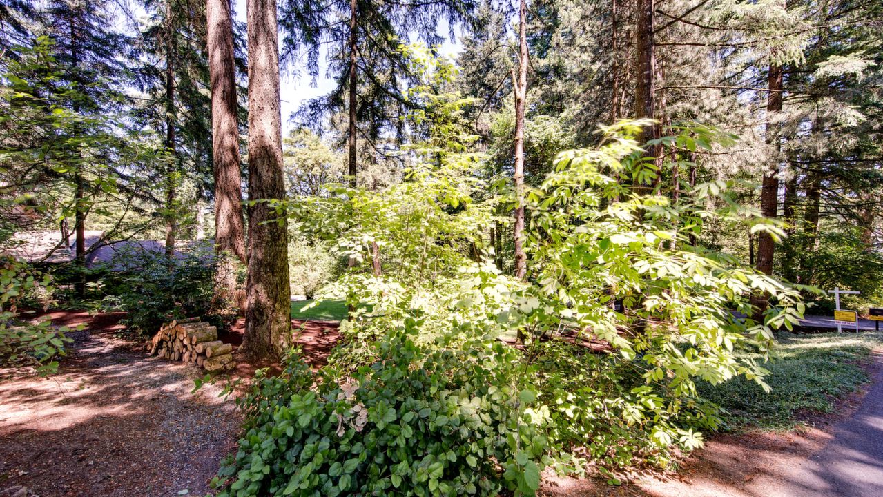 19625 SE Debora Dr, Damascus, OR, 97089 Scene 3