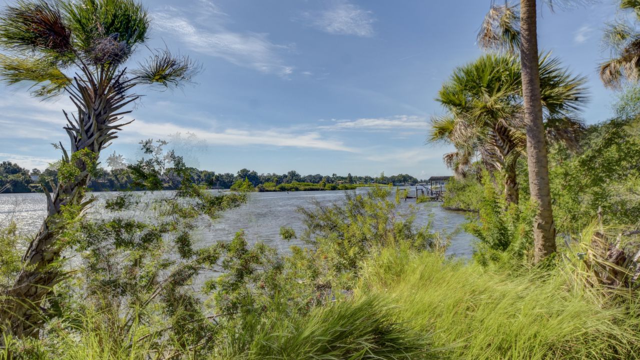 Alafia River View