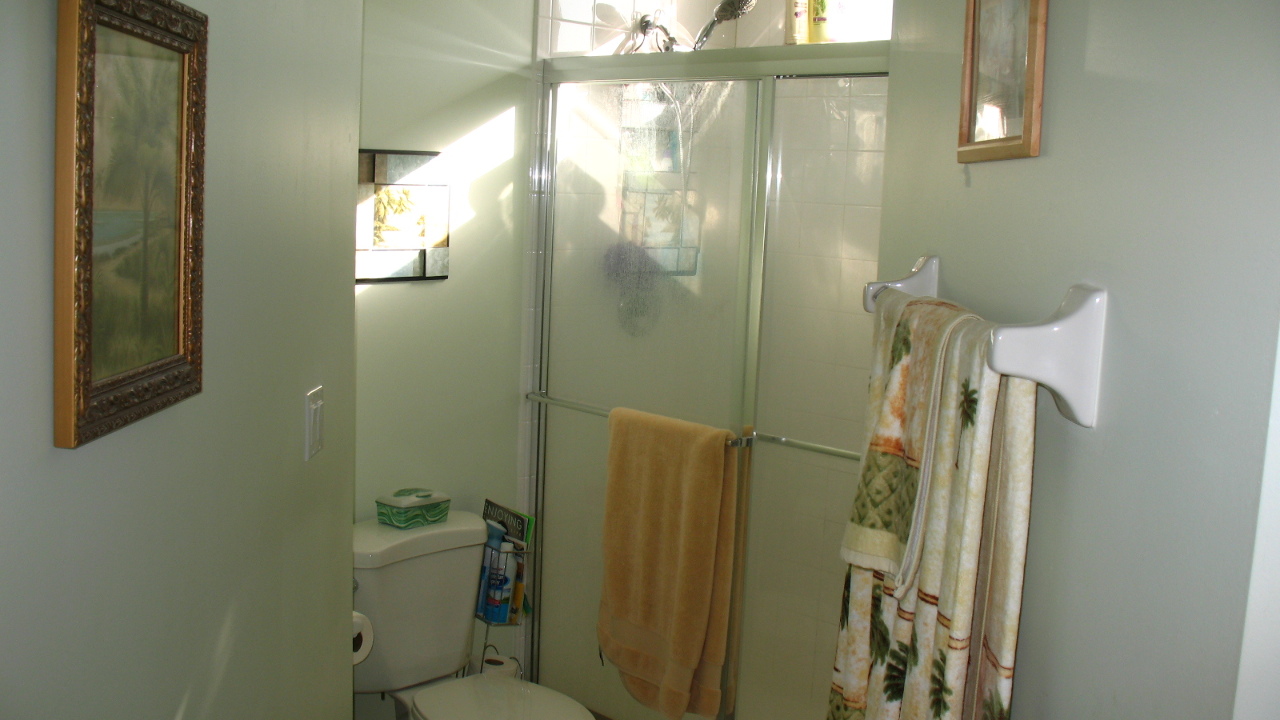 Master Bath Shower