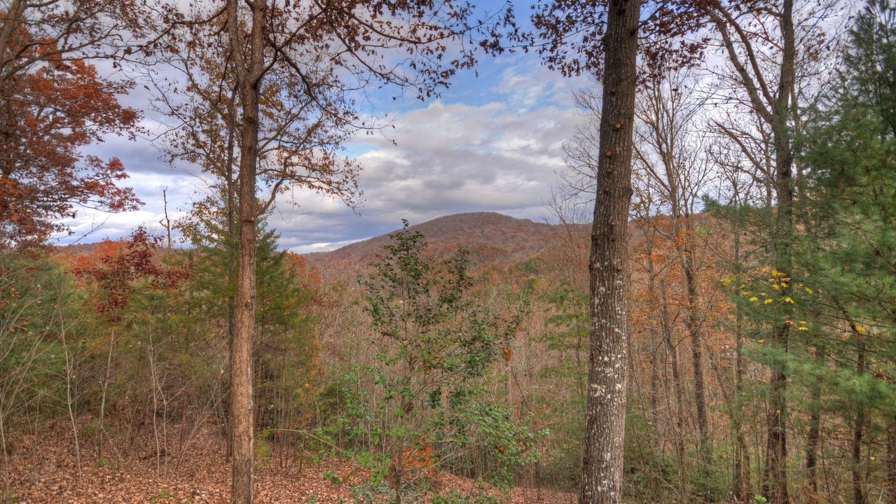 245 Rhonda Lane, Mineral Bluff, GA, 30555 Scene 4