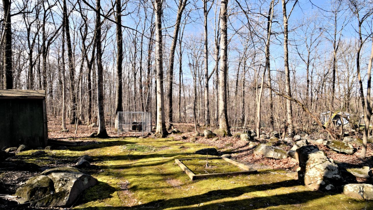 1618 Woodland Rd, Green Lane, PA, 18054 Scene 4