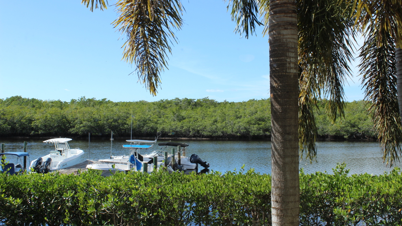 Master Bedroom Water View