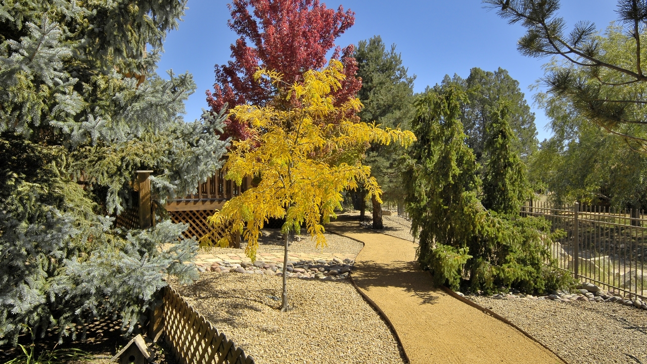 Beautiful Yard