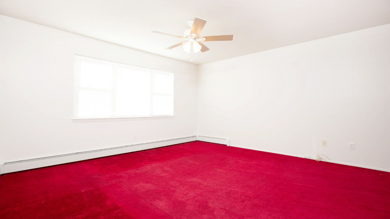 7 Savoy Ave, Bayshore, NY, 11706 Scene 2