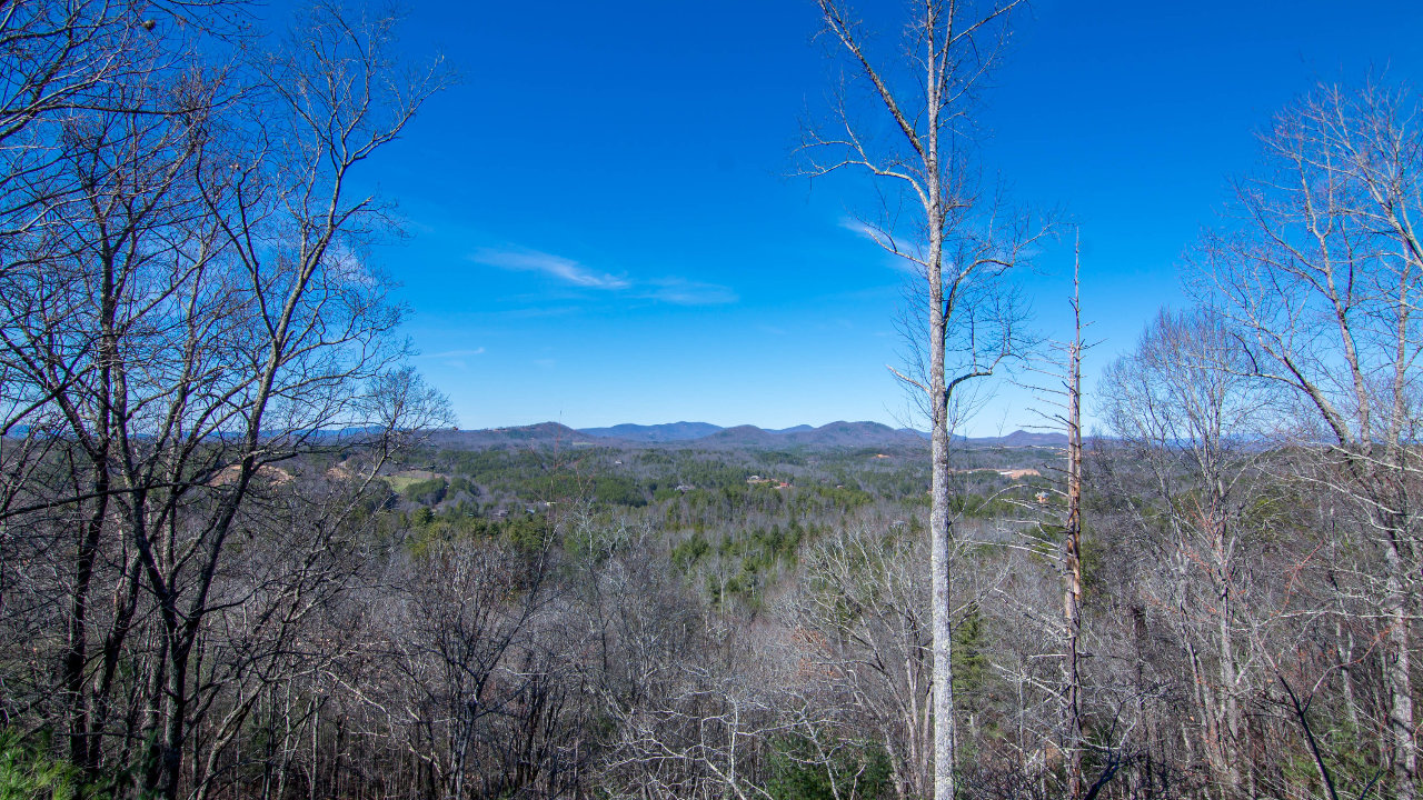 1256 My Mountain Rd, Morganton, GA, 30560 Scene 2