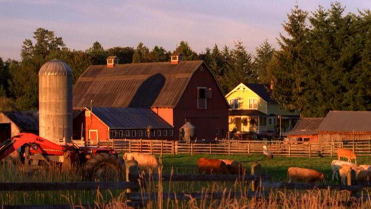 Kent_Farm_-_Smallville_02