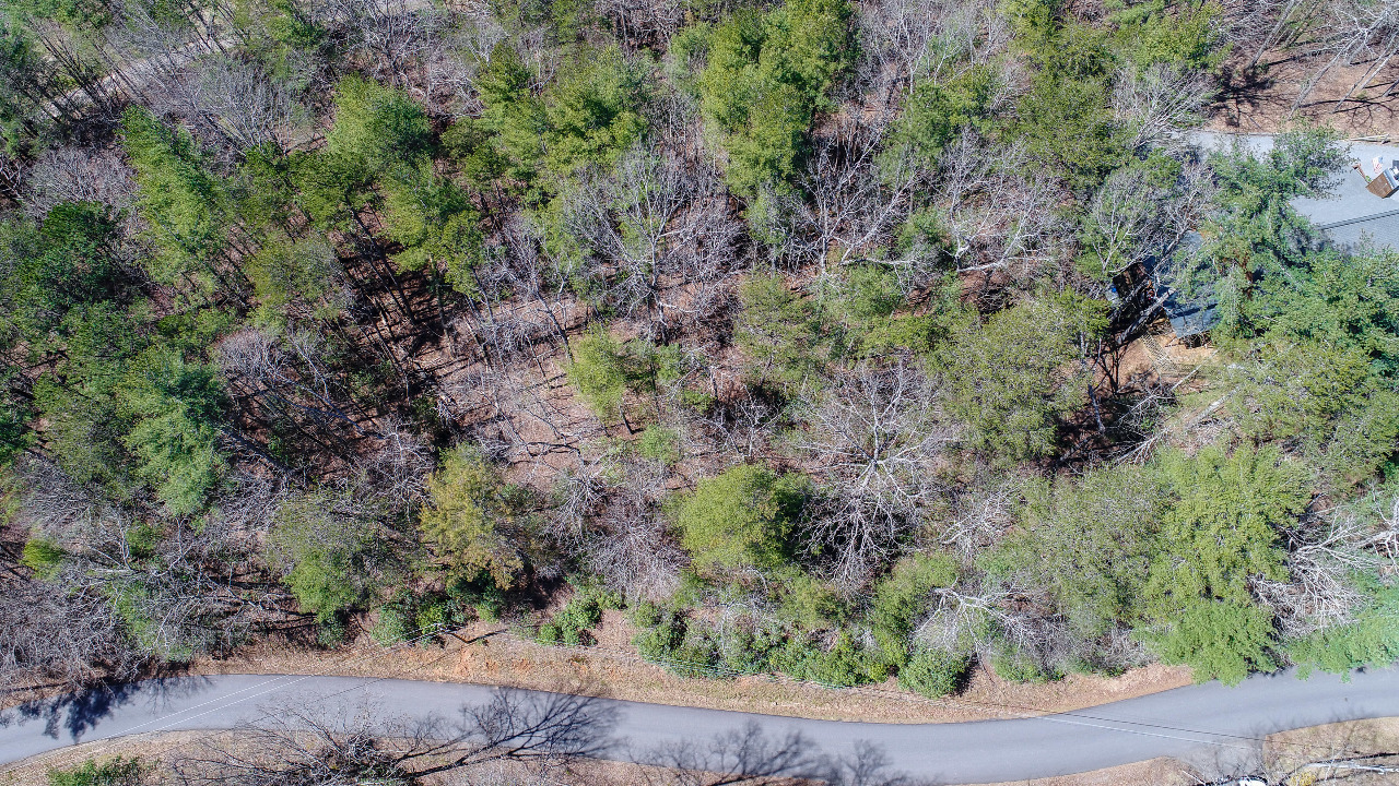 40 Seneca Drive, Ellijay, GA, 30140 Scene 4