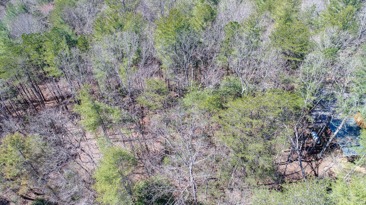 40 Seneca Drive, Ellijay, GA, 30140 Scene 2