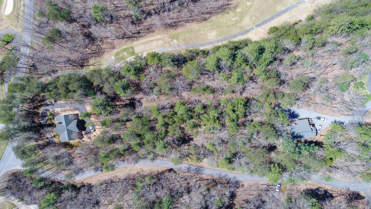 40 Seneca Drive, Ellijay, GA, 30140 Scene 3