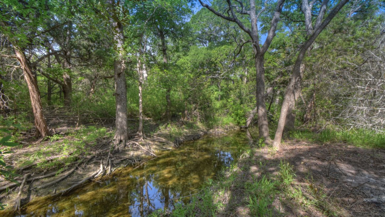 CR 202, Burnet, TX, 78611 Scene 4