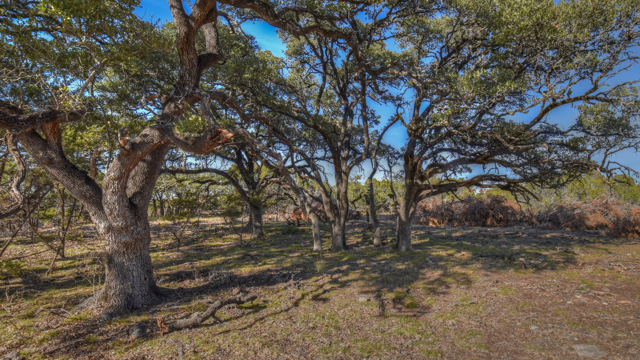 CR 200A, Burnet, TX, 78611 Scene 4