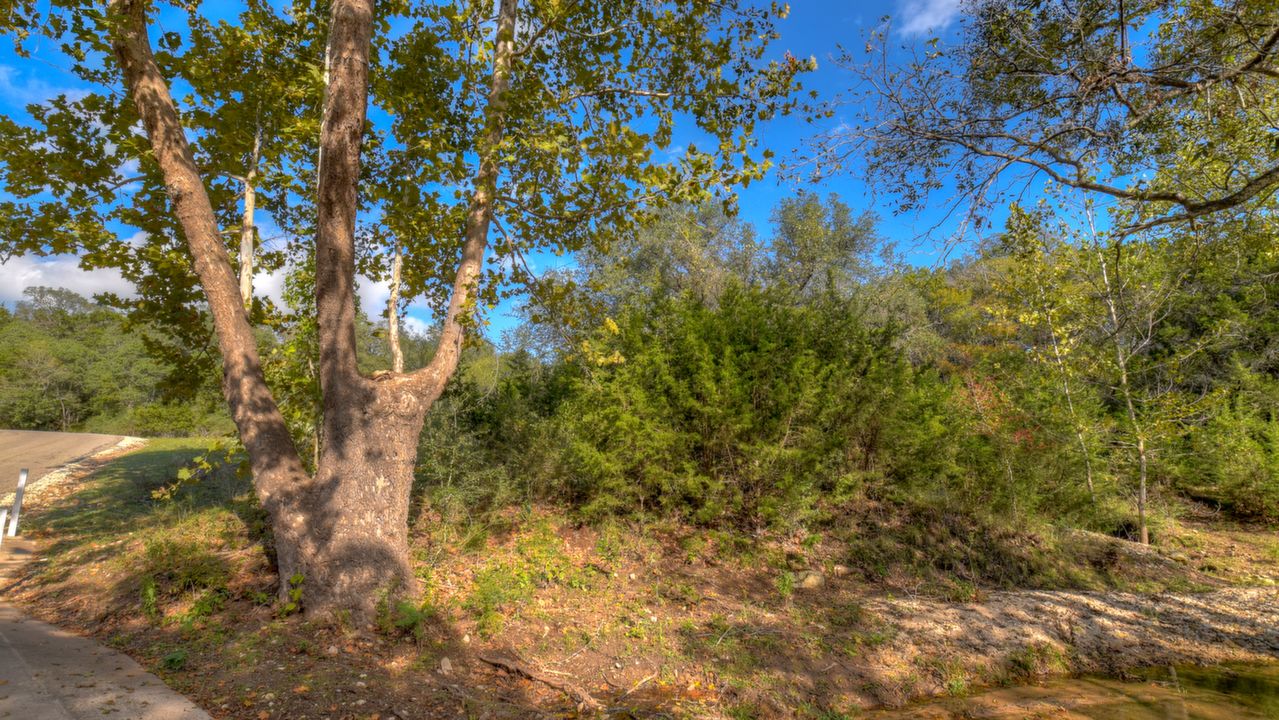 Spring Fed Creek