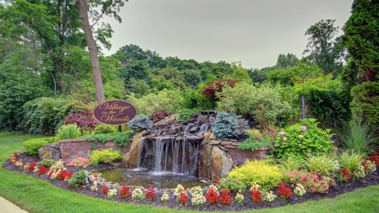 The Village In The Woods Co-Op