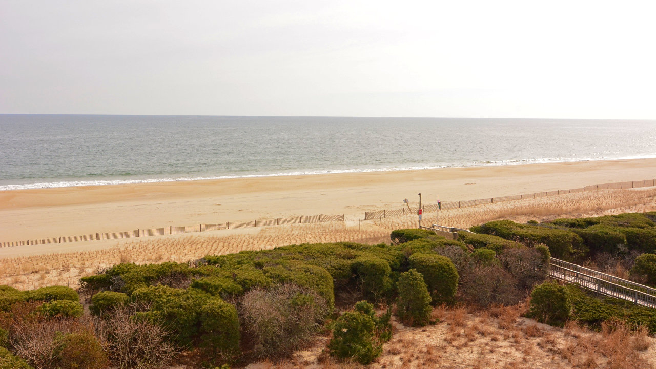 Beach View