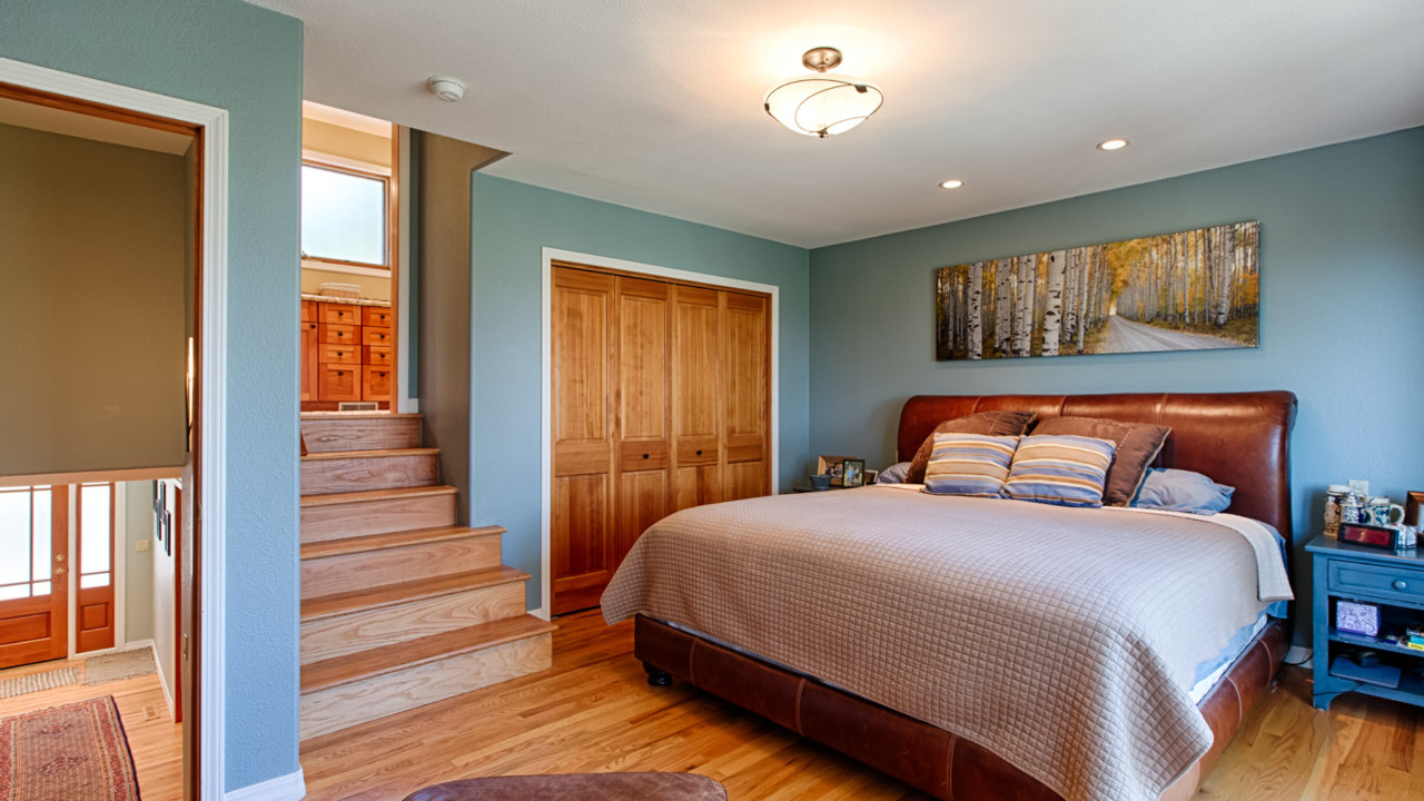 Master Suite View 1