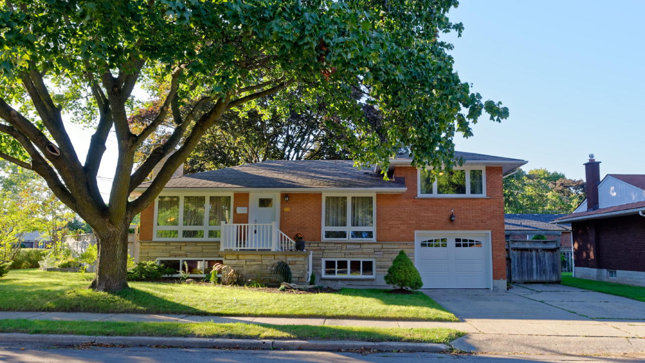 Welcome To 36 Campion Avenue