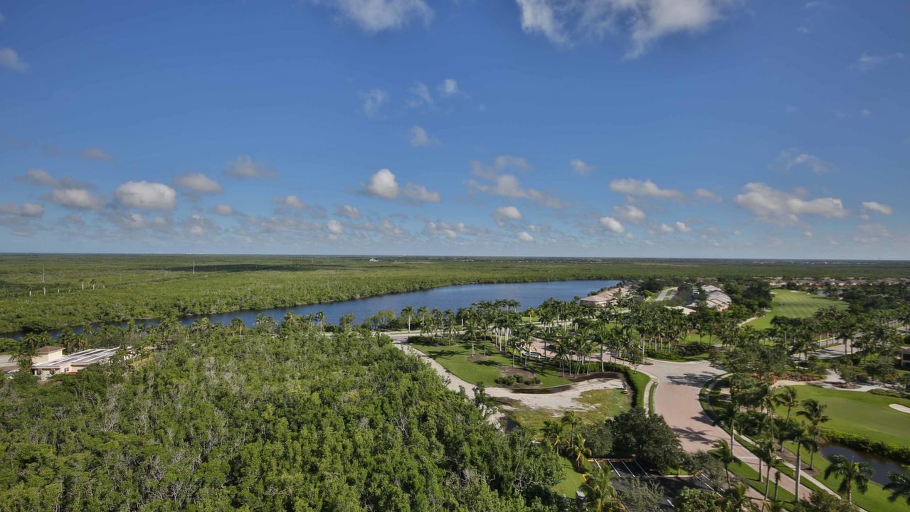 View from Dining Area