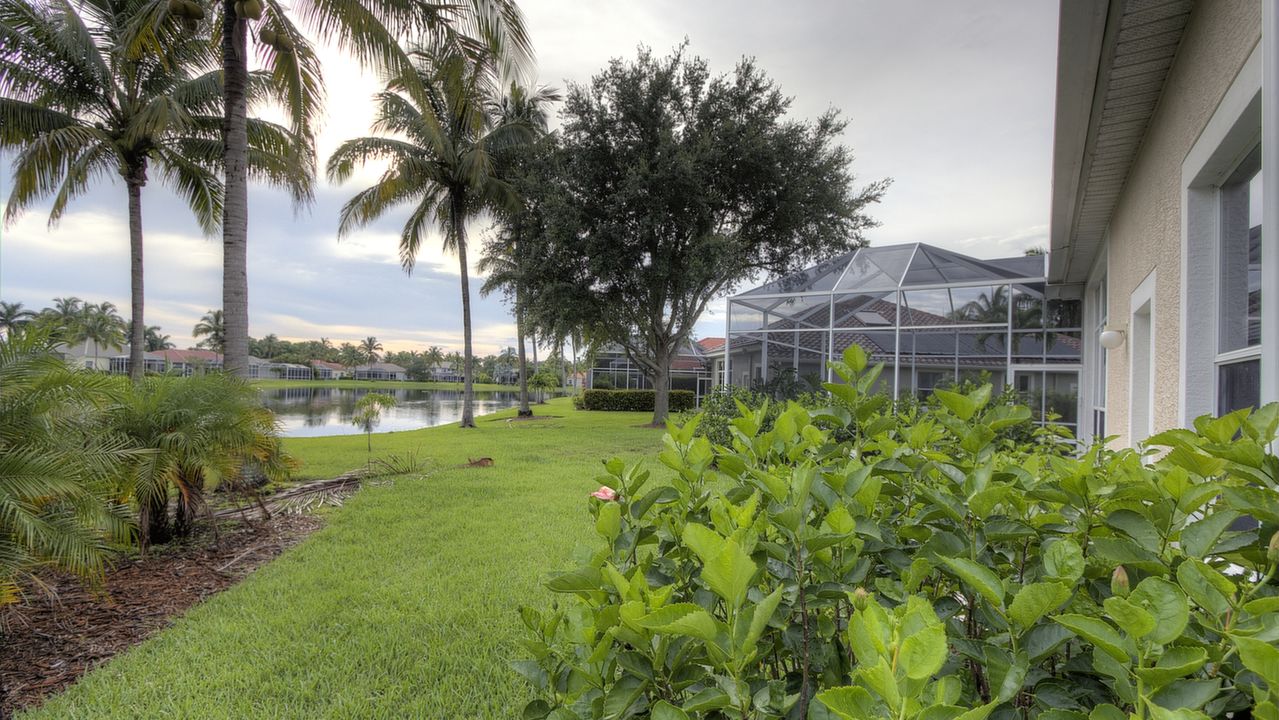 BACKYARDLAKE