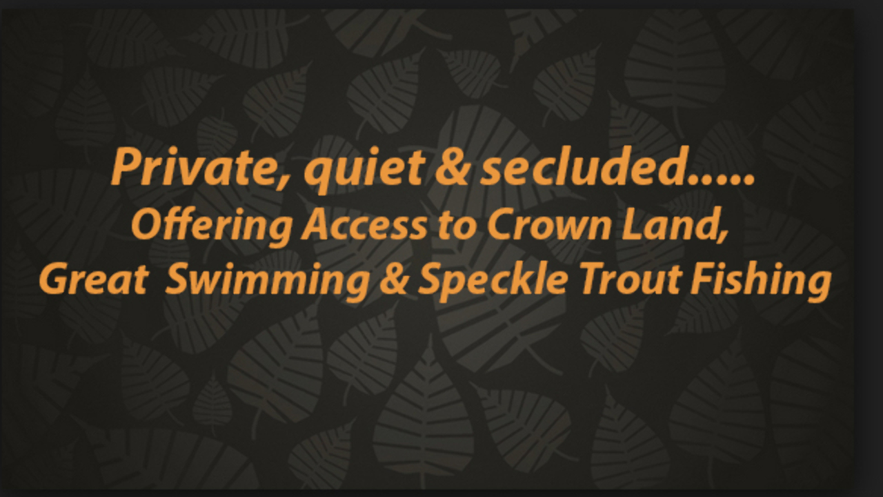 Addington Road 5, Cloyne, ON, K0H 1K0 Scene 2