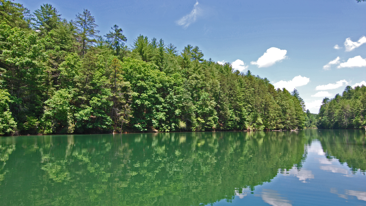 571 Misty Mountain Trail, Morganton, GA, 30560 Scene 2