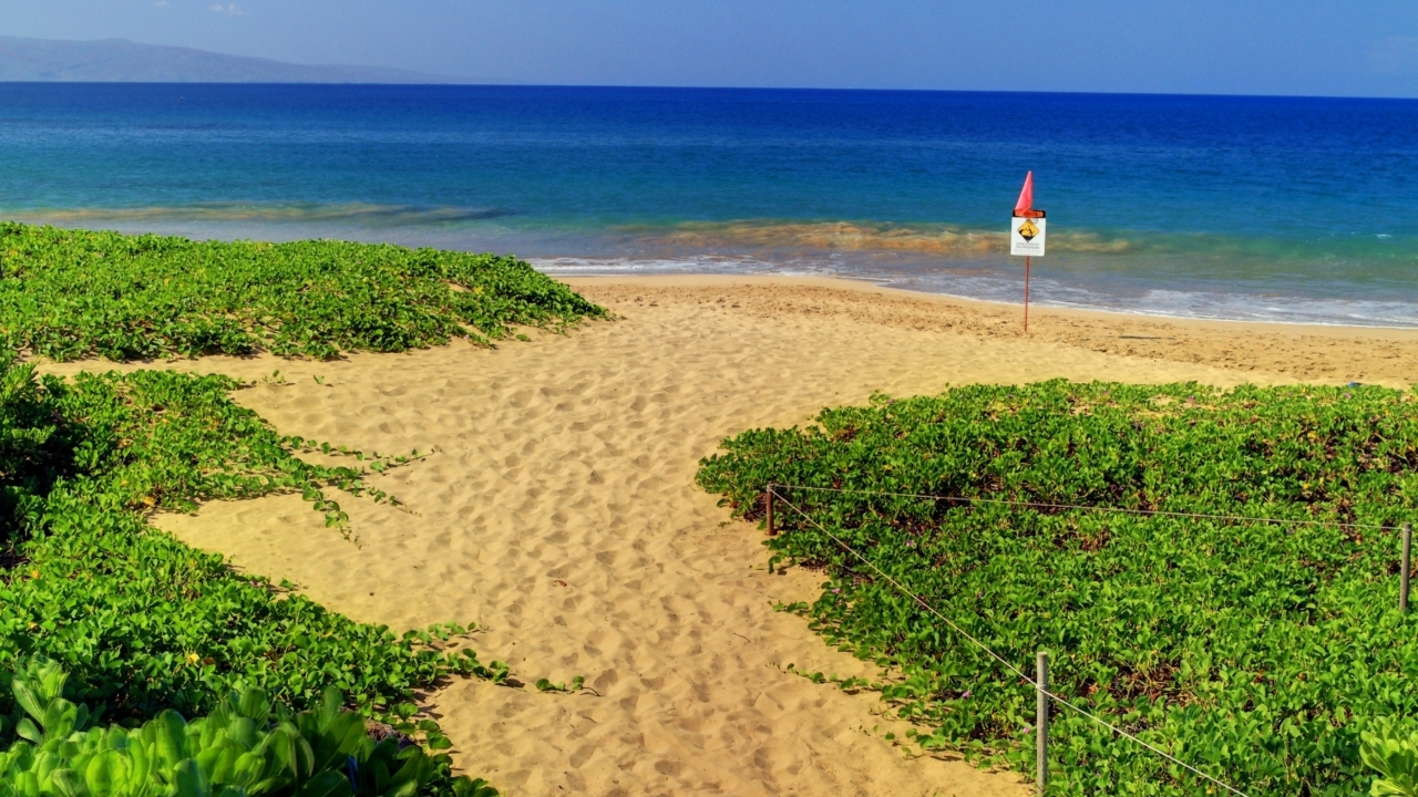 Lush Beach Entrance