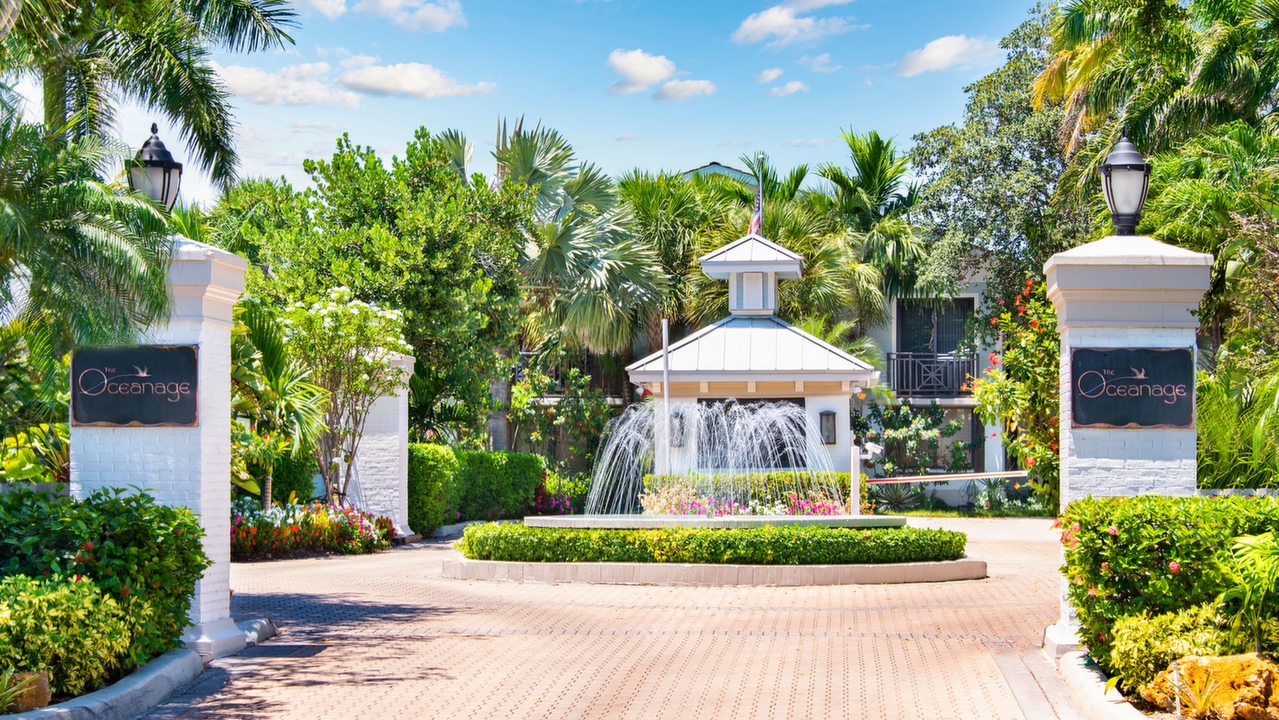 The-Oceanage-#264-01