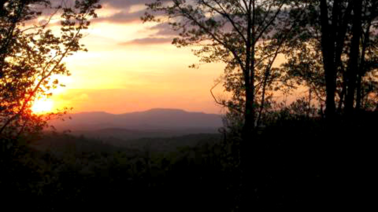 116 Channing Ridge rd, Morganton, GA, 30560 Scene 2