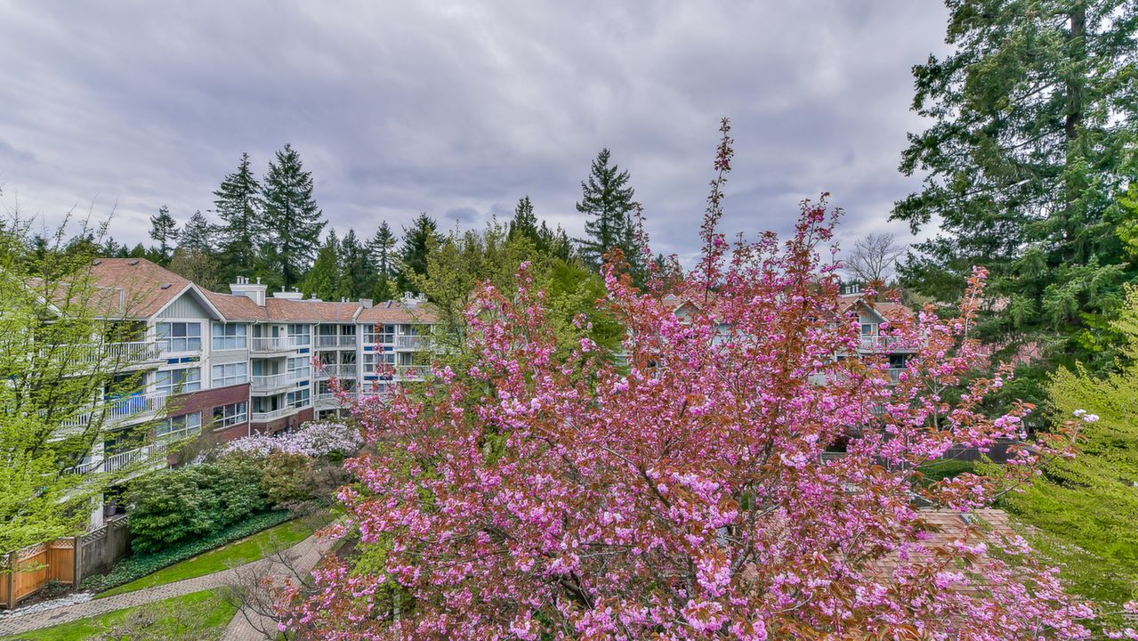 401-9650 148 Str,, Surrey, BC, 0000 Scene 1