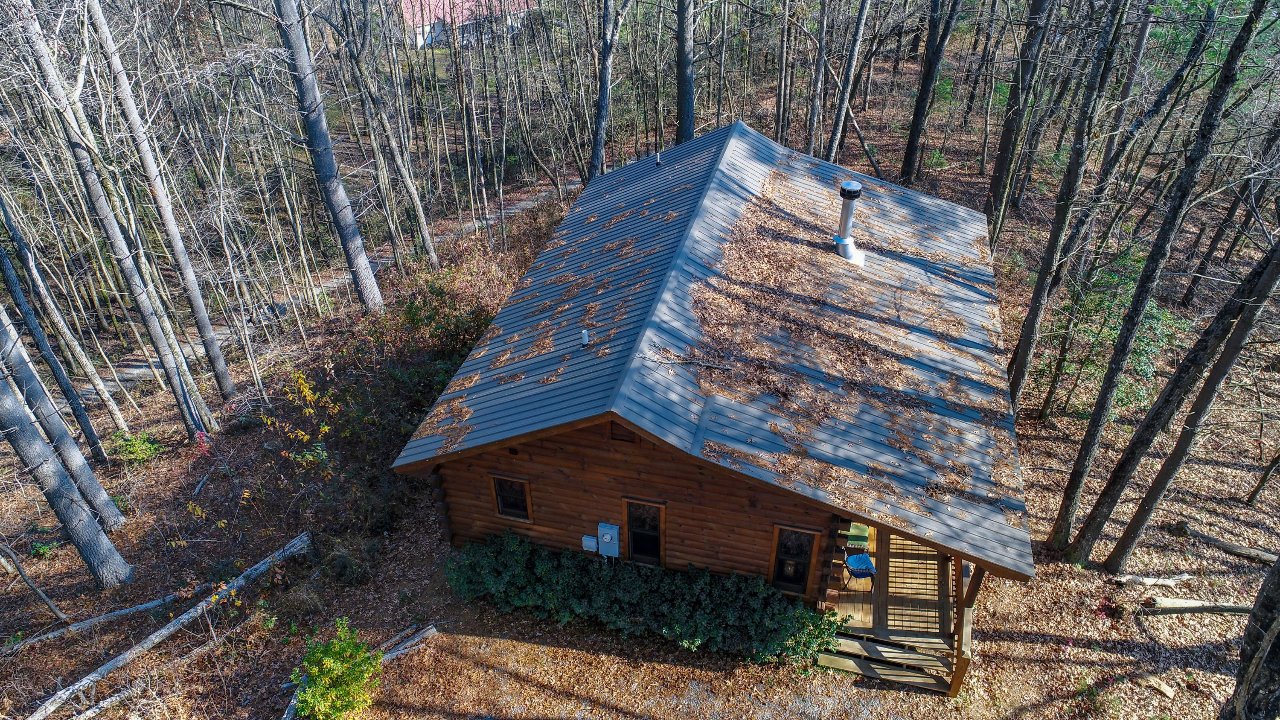 43 Jason Martin Circle, Cherry Log, GA, 30522 Scene 3