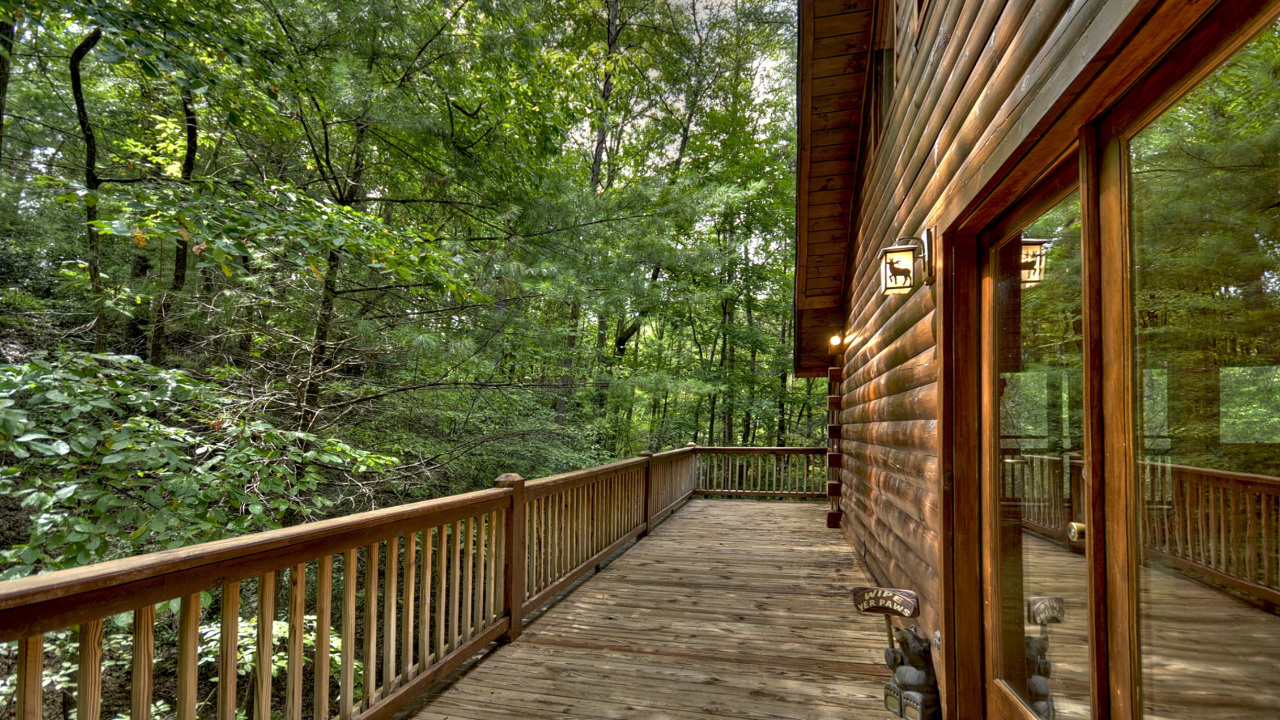 28 Dupont dr, Blue Ridge, GA, 30513 Scene 4